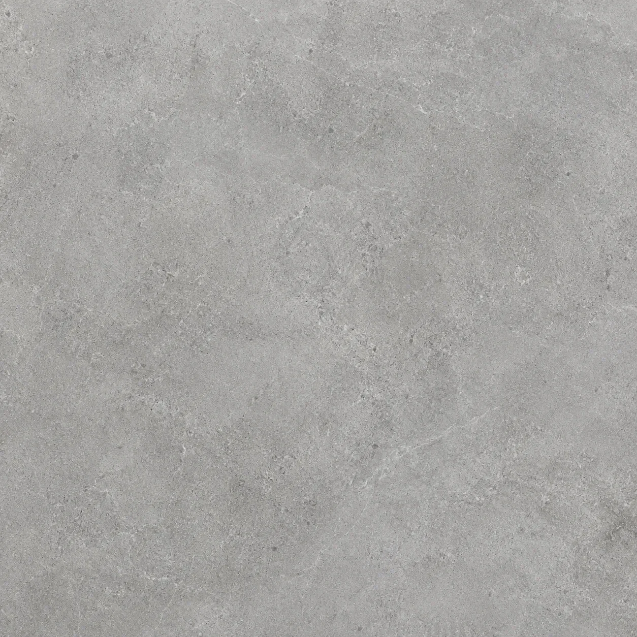 Gray / Cement
