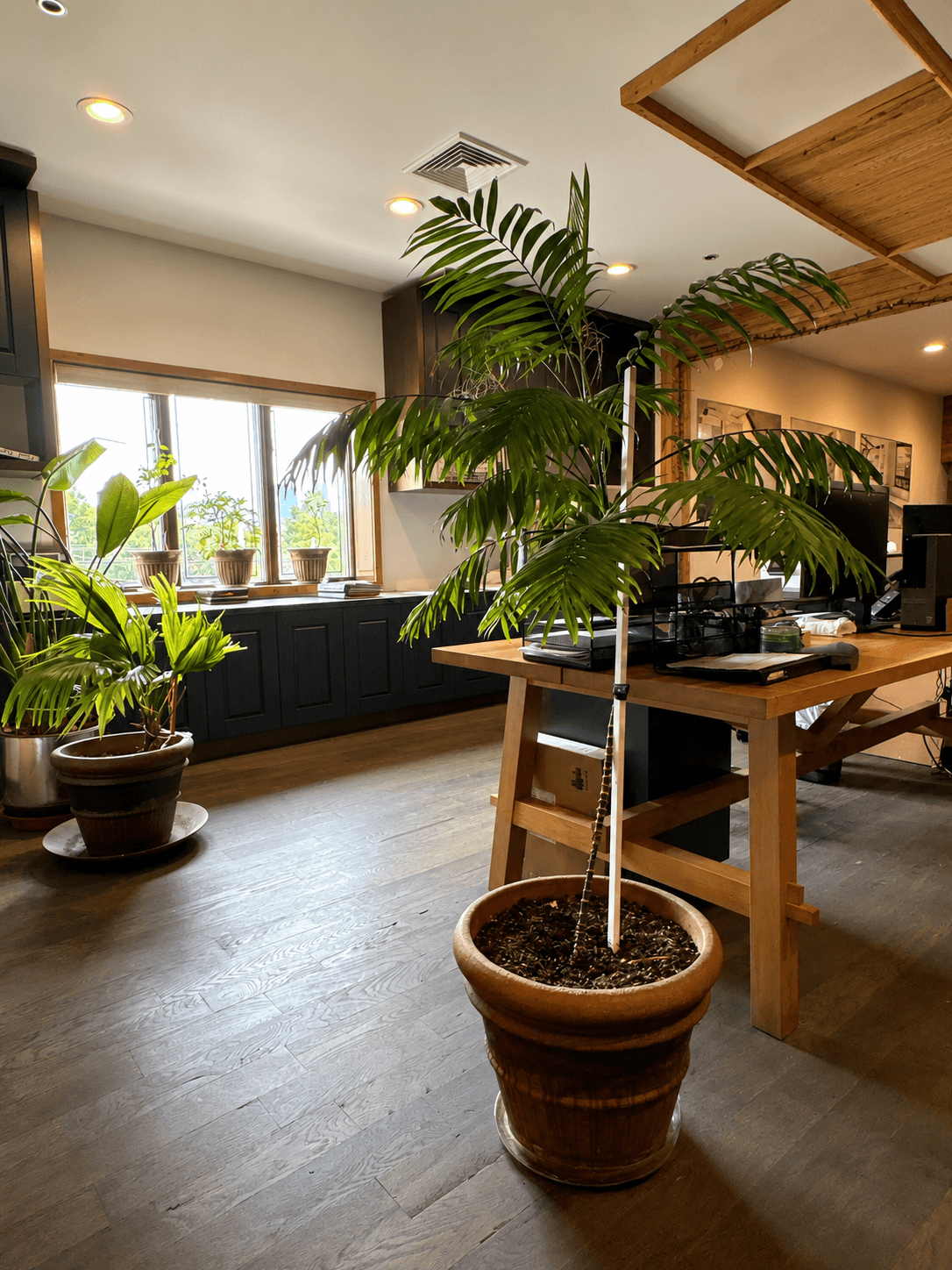Inside the IPA Stone showroom and office