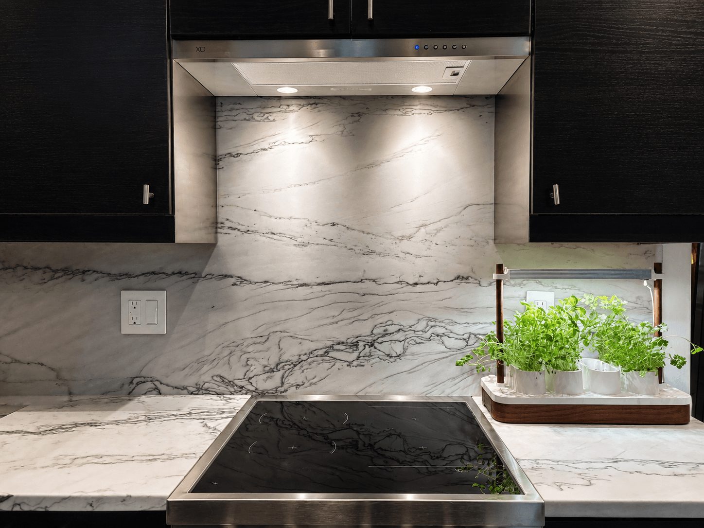 Florida Wave Quartzite backsplash behind the cooktop with herb garden